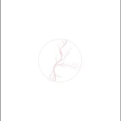 Receituário Angiologia e Vascular Antuérpia