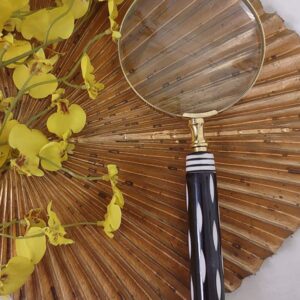 Lupa Elegance com Cabo Decorativo – Funcionalidade e Estilo para Consultórios e Escritórios - Imagem 1