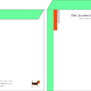 Envelope Saco 24x34cm Veterinária Bludenz