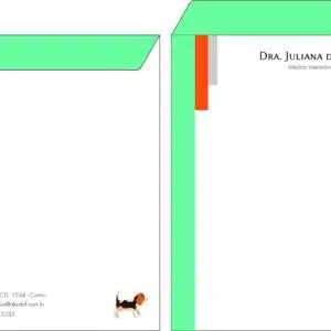 Envelope Saco 24x34cm Veterinária Bludenz